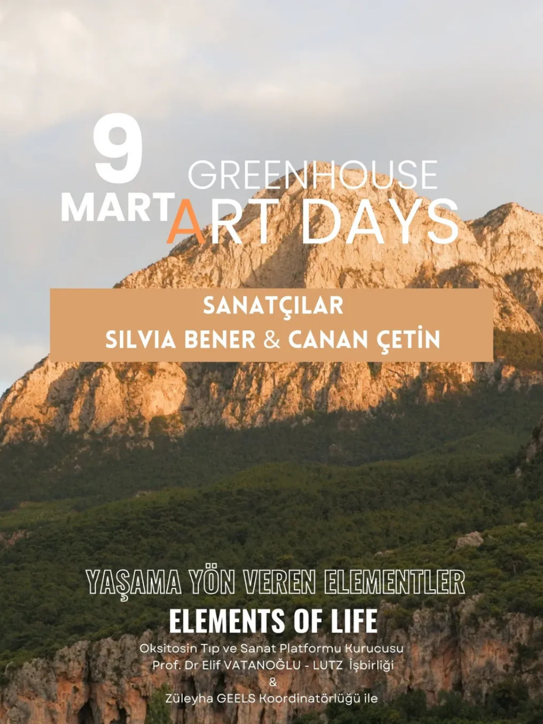 yaşama yön veren elementler